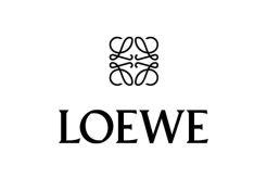 Tour guide system Loewe